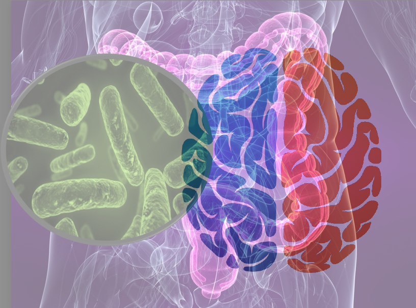 Gut-brain balance